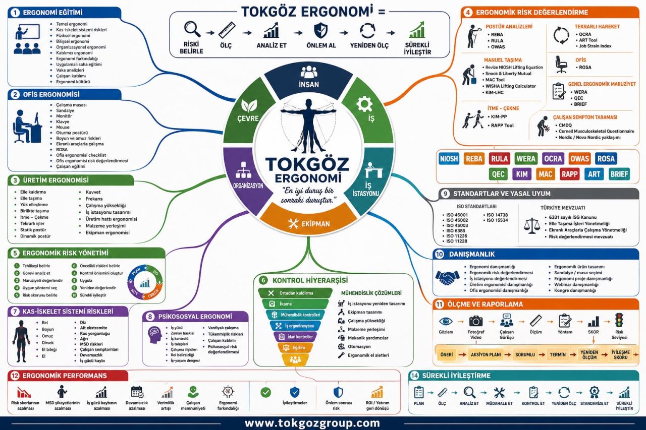 Tokgöz Bütünsel Ergonomi
